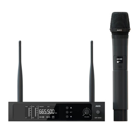 wp300-akg.jpeg