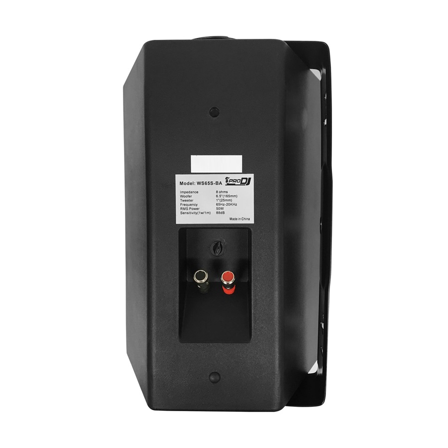ws65s-baweb002-1.jpg